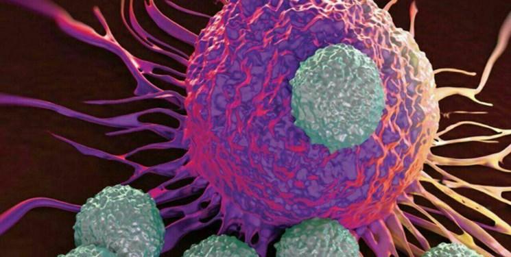 اثبات خطرات هورمون درمانی برای سرطان سینه