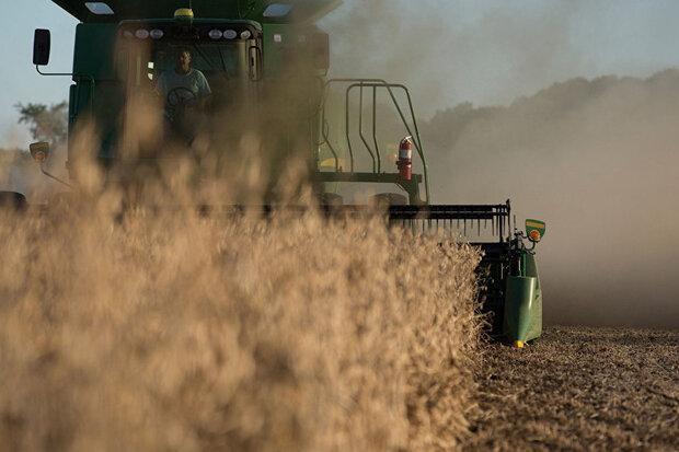 سقوط قیمت خرید محصولات کشاورزی آمریکا با نگرانی از تقاضای چین