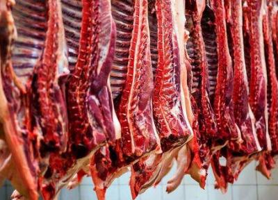 افت قیمت گوشت پس از توزیع گسترده اینترنتی